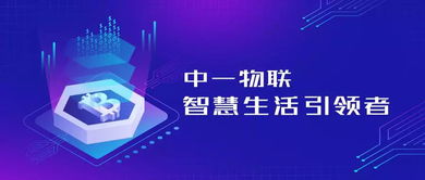 中一物聯(lián)應(yīng)邀出席2019中意創(chuàng)新發(fā)展峰會，共筑南京科技名城新藍(lán)圖